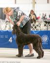 20140316-nesda-0147
