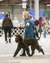 20140316-nesda-0152