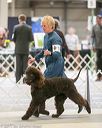 20140316-nesda-0155