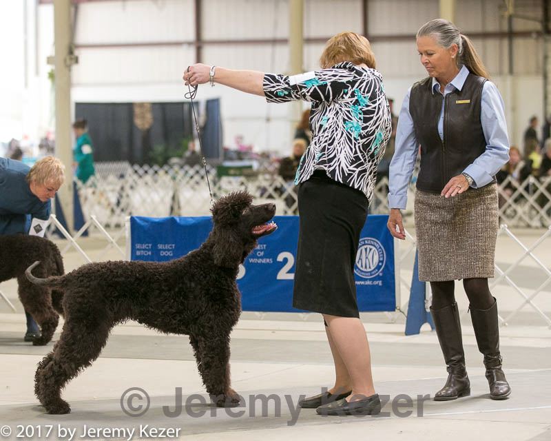 20140316-nesda-0142.jpg