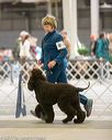 20140316-nesda-0025