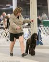 20140316-nesda-0012