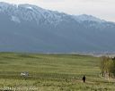 20140425-td-0009