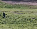 20140425-td-0050