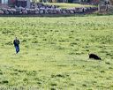 20140425-td-0100
