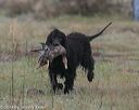20140426-wcl-0002