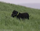 20140426-wd-0017