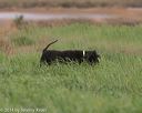 20140426-wd-0020
