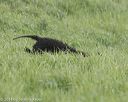 20140426-wd-0047