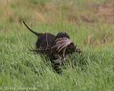 20140426-wd-0056