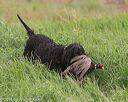20140426-wd-0058