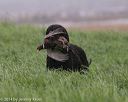20140426-wd-0085