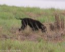 20140426-wd-0232