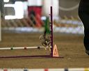 20140427-ag-0367