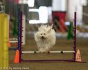 20140427-ag-0381