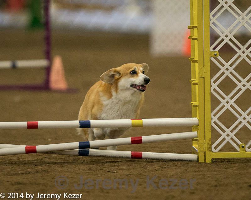20140427-ag-0372.jpg