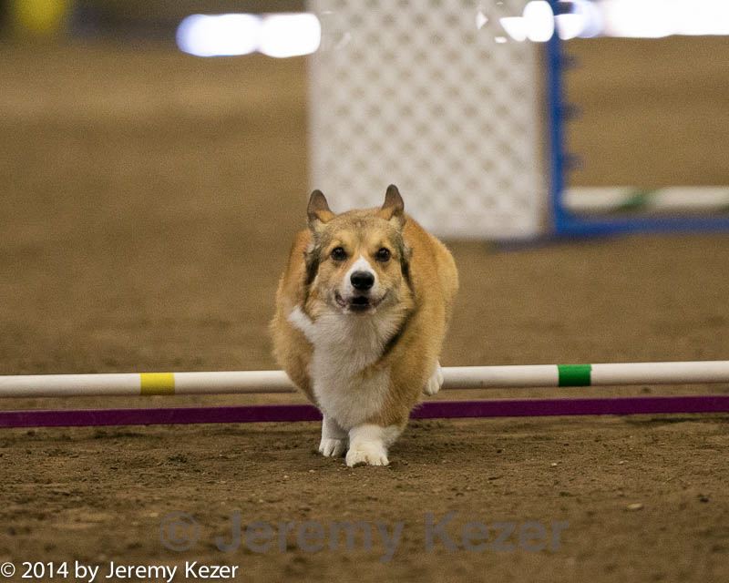 20140427-ag-0392.jpg