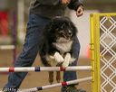 20140427-ag-0420