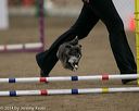 20140427-ag-0431