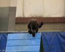 20140427-ag-0030