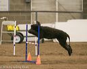20140427-ag-0032