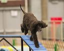 20140427-ag-0040