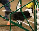 20140427-ag-0044
