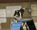 20140427-ag-0045