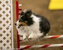 20140427-ag-0049