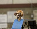 20140427-ag-0057