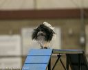 20140427-ag-0061