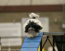20140427-ag-0062