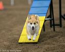 20140427-ag-0091
