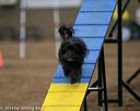 20140427-ag-0103