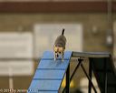 20140427-ag-0113