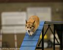 20140427-ag-0116