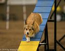 20140427-ag-0117