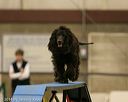 20140427-ag-0232