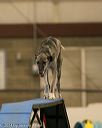 20140427-ag-0247