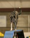 20140427-ag-0248