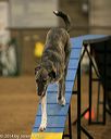 20140427-ag-0250