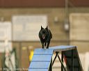 20140427-ag-0263