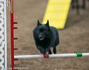 20140427-ag-0265