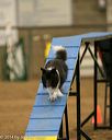 20140427-ag-0269