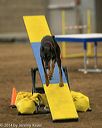 20140427-ag-0122