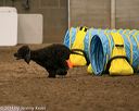 20140427-ag-0142