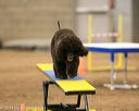 20140427-ag-0151