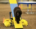 20140427-ag-0152