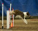 20140427-ag-0162