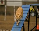 20140427-ag-0177